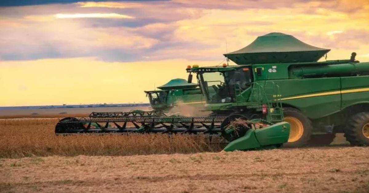 Ministério habilita mais 90 empresas e Brasil pode superar EUA como maior exportador de milho para a China
